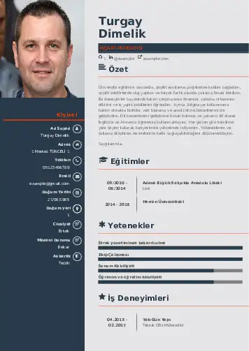 İnşaat Mühendisi Cv Örnekleri cv indir